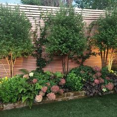 a garden with lots of plants and flowers next to a wooden fence on the side of a building