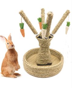 a rabbit sitting next to a basket with carrots on it