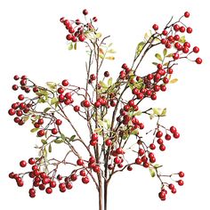 PRICES MAY VARY. Features:1.The artificial berry stems branch is suitable for many occasions, it will not fade and is very durable. It is perfect as a decoration.2.This flower branch is 27.6 inches high and it is a good home decoration when it is inserted into a vase and placed on the ground.3.Each package includes 6PCS berry picks.Specifications:Length:27.6 inchesColor: redMaterial: Plastic + foamPackage Includes:1x Artificial Berry Stems Branches Filled Vases, Berry Plants, Christmas Floral Arrangements, Olive Leaf, Vase Centerpieces, Wedding Christmas, Christmas Floral, Arte Floral, Faux Plants