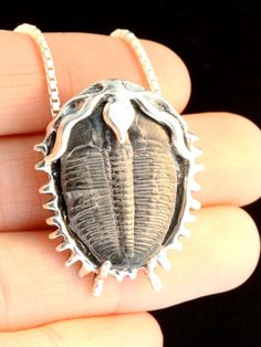 This Pendants item by martymagic has 712 favorites from Etsy shoppers. Ships from United States. Listed on 09 Feb, 2023 Fossil Art, Dinosaur Jewelry, Jewelry Ocean, Trilobite Fossil, Fossil Jewelry, Insect Jewelry, Ocean Jewelry, Funky Jewelry, Metal Clay