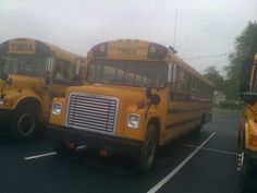 two yellow school buses parked in a parking lot next to each other on a foggy day