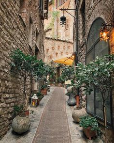 an alley way with potted plants on either side and stone buildings in the background