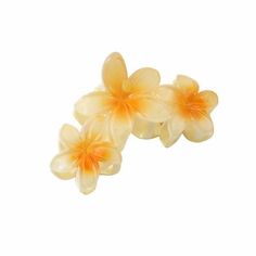 Flower Hair Clips, Flower Claw Clips, Strong Hold Claw Clips for Thick Hair Summer Cute Hibiscus Hair Clips Beach Plumeria Hair Accessories for Women Features: 1. Versatile Hair Accessories: Our 3pcs set of hair claws is for creating various stylish hairstyles. Whether you want to create an elegant updo or a casual half-up hairstyle, these large-sized hair claws will securely hold your hair in place. 2. Trendy European and Design: Inspired by the latest hair accessory trends in Europe and Americ Preppy Hair Clips, Hawaiian Flower Claw Clip, Summer Claw Clip, Hair Plates, Dr Belongings, Flower Claw Clips, Collage Items, Hibiscus Hair, Hawaii Hair