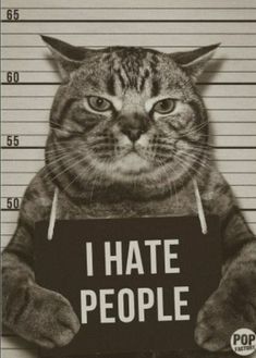 a cat holding a sign that says i hate people in front of mugshots