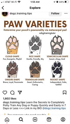 an iphone screen showing how to use paw varieties