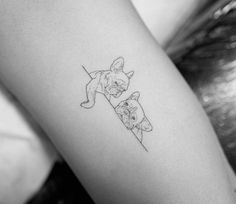 a woman's arm with two dogs on it, one has a cat and the other is a dog