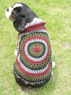 a dog wearing a crocheted sweater sitting in the grass