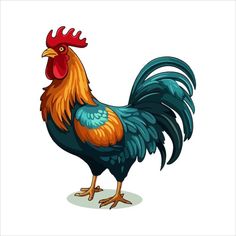 a rooster standing on its hind legs with a red head and blue tail, in front of white background