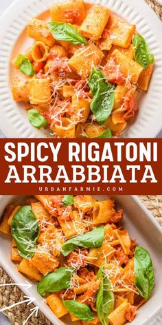 Need a quick meal with a kick? This Spicy Rigatoni Arrabbiata is a go-to for quick weeknight dinners and pasta dinner recipes. With fresh tomatoes, garlic, and a kick of red pepper, it brings bold Italian flavors to your table with effortless prep! Recipes With Fresh Tomatoes, Easy Meatless Meals, Spicy Rigatoni, Red Pasta, Fresh Tomato Pasta, Vegetarian Dinner Ideas