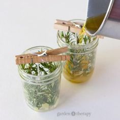 two mason jars filled with green plants, one being poured into the jar and the other is empty