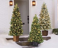 three christmas trees in front of a house with snow on the ground and lights on them