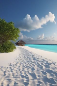 an image of a beach scene with footprints on the sand and trees in the foreground