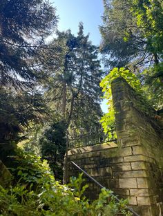 an old brick wall surrounded by trees in the woods with stairs leading up to it