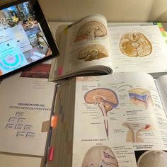 an open book with pictures of human brain and other medical information on it next to a tablet