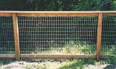 a wooden fence with wire on top and grass in the bottom half, along side it