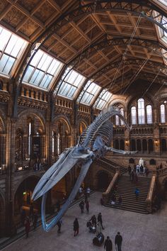 the interior of a museum with people walking around and looking at an enormous dinosaur skeleton