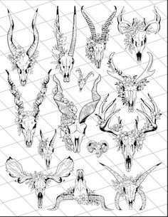 various animal heads drawn in black and white on a gridded paper with lines around them