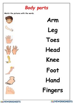 the body parts worksheet for kids to learn how to read and understand their body parts