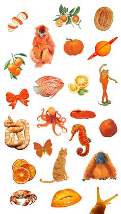 an assortment of different fruits and vegetables are depicted in this illustration, including oranges