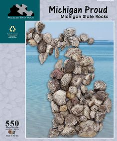 the michigan state rocks poster is shown