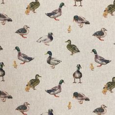 a flock of ducks standing on top of a white floor next to a wallpaper