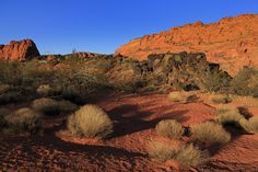 the desert is full of red rocks and plants