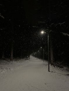 a snow covered path with street lights in the distance and trees on both sides at night