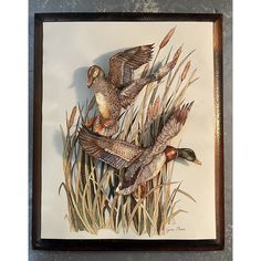 two ducks are flying over the reeds in this watercolor painting by an artist