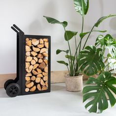 there is a small cart with logs in it next to a potted plant and a houseplant