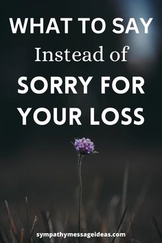 I’m So Sorry For Your Loss, I’m Sorry For Your Loss, What To Say Instead Of Sorry For Your Loss, Message To Someone Who Lost A Loved One, Sorry For Your Lost, Instead Of Sorry, Sympathy Messages For Loss