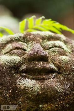 a close up of a face on a rock with green plants growing out of it