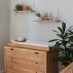 a baby crib next to a potted plant in a room with white walls