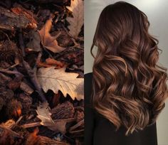 Brown Fall Hair Balayage, Muted Brown Hair, Brassy Brunette, Chestnut Balayage, French Balayage, Bronze Hair Color, Fall Balayage, Brown Hair Looks, Brunette Hair With Highlights