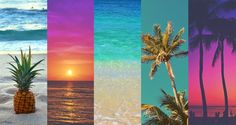 there is a pineapple in the middle of four different pictures, each with a beach scene and palm trees