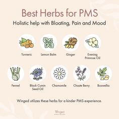 Feminine Herbs, Herbs For Mood Swings, Herbs For Women Hormones, Herbs That Balance Hormones, Herbs For Hormone Balance, Herbal Energetics, Herbs To Balance Female Hormones, Herbal Tea For Hormone Balance, Herbs For Energy