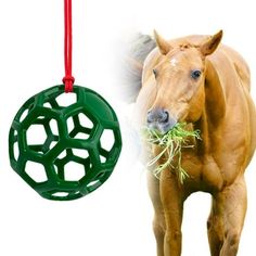 a brown horse standing next to a green ball ornament on a red string