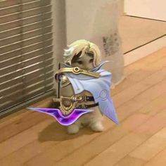 a small dog dressed up as a princess with a purple cape on it's head