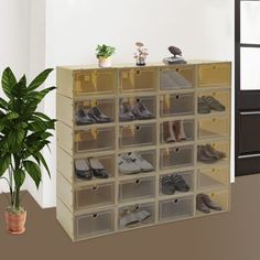 an image of a shoe rack with shoes on it and a potted plant in the corner