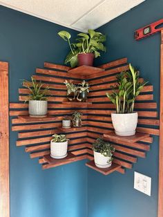 some plants are sitting on wooden shelves in a room with blue walls and wood trimmings