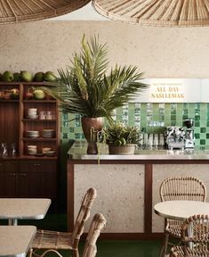 the interior of a restaurant with wicker chairs and green tiled walls, palm tree in potted plant