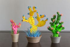 three potted cactus plants sitting on top of a table