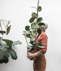 a woman holding a potted plant in her hands