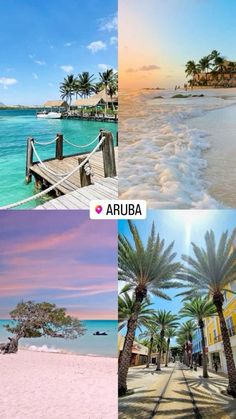 four different pictures with palm trees on the beach