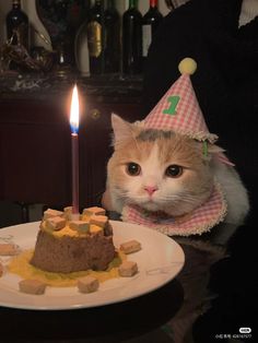 a cat wearing a birthday hat next to a cake on a plate with marshmallows