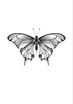 a black and white drawing of a butterfly