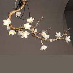 a branch with white flowers hanging from it's end and a light fixture in the background