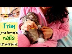 a woman in pink pajamas holding a cat on top of her lap with a sign that says trim your bunny's nails by yourself