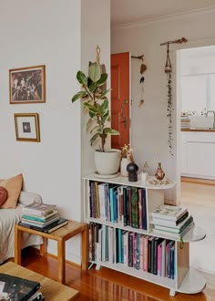 a living room filled with furniture and a bookshelf full of different types of books