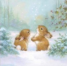 two brown rabbits sitting in the snow next to each other