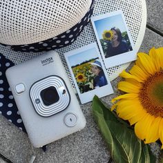 an instax camera, sunflower and two photos on the ground